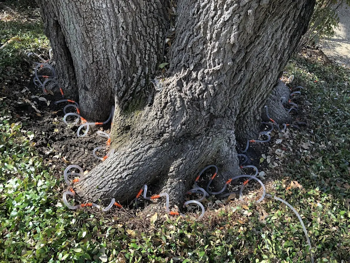 Detailed Shrub and Hedge Trimming job site in Rush